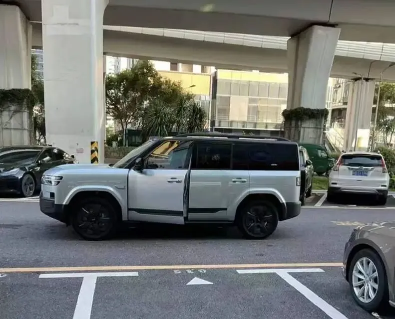 国庆长假自驾游,你会选择油车还是电车?