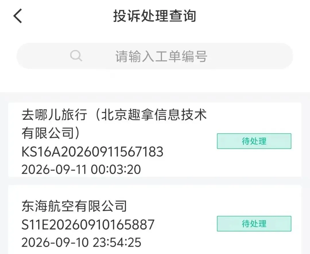 多家在线旅游平台被立案!订机票遇延误索赔难,谁来保障旅客权益?