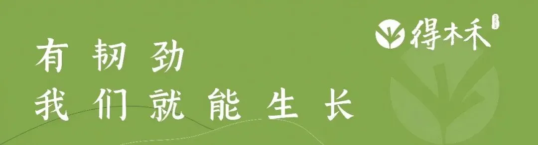 延安有岗!2027陕西旅游集团秋季招聘公告(45人)