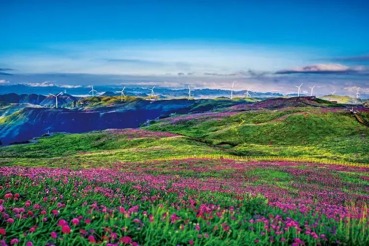 探索贵州美景,信赖这家旅游公司的专业服务