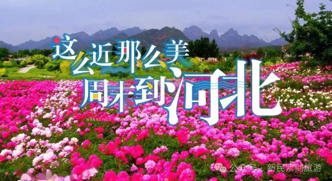 紫剑旅游-10月3-4日唐山河头老街(夜景)+唐山宴+仙螺岛外滩两日活动235元!
