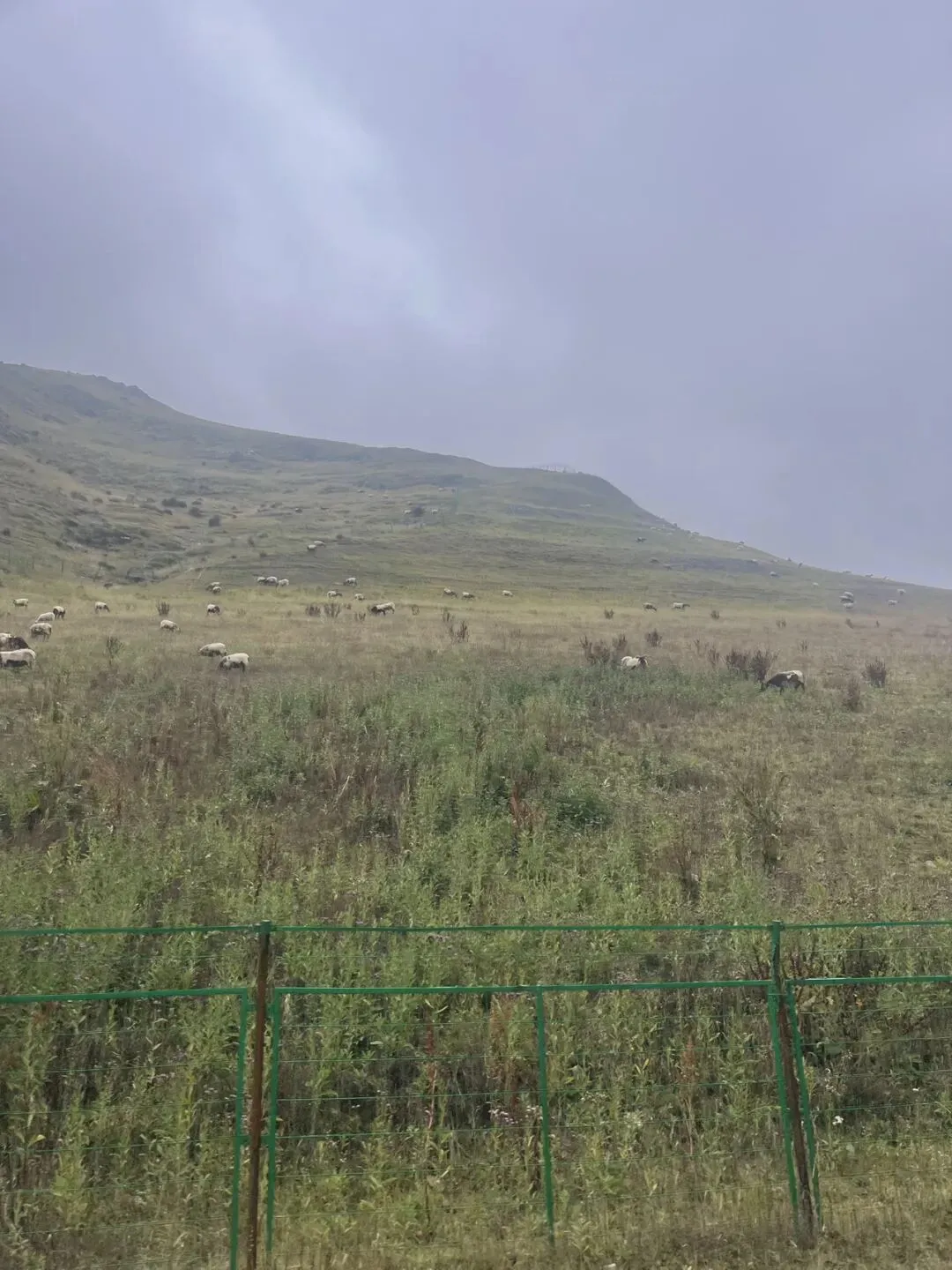 20260919甘南旅游第八天