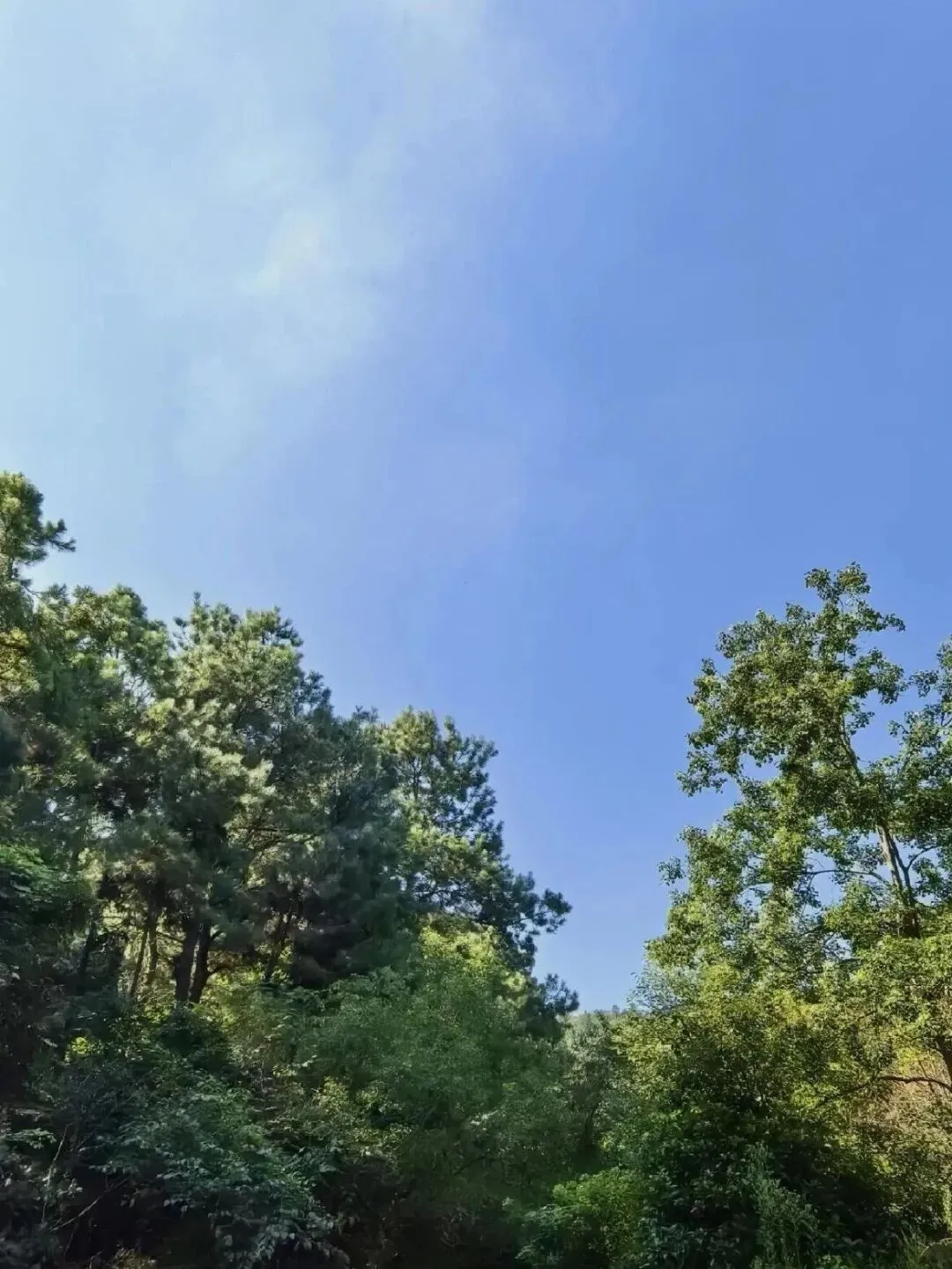 苏州又一5A级旅游景区火出圈,是孙子隐居地,孙子兵法诞生地,乾隆皇帝曾六次登临~