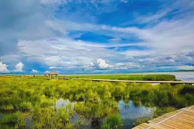 扎龙生态旅游区实用旅行攻略