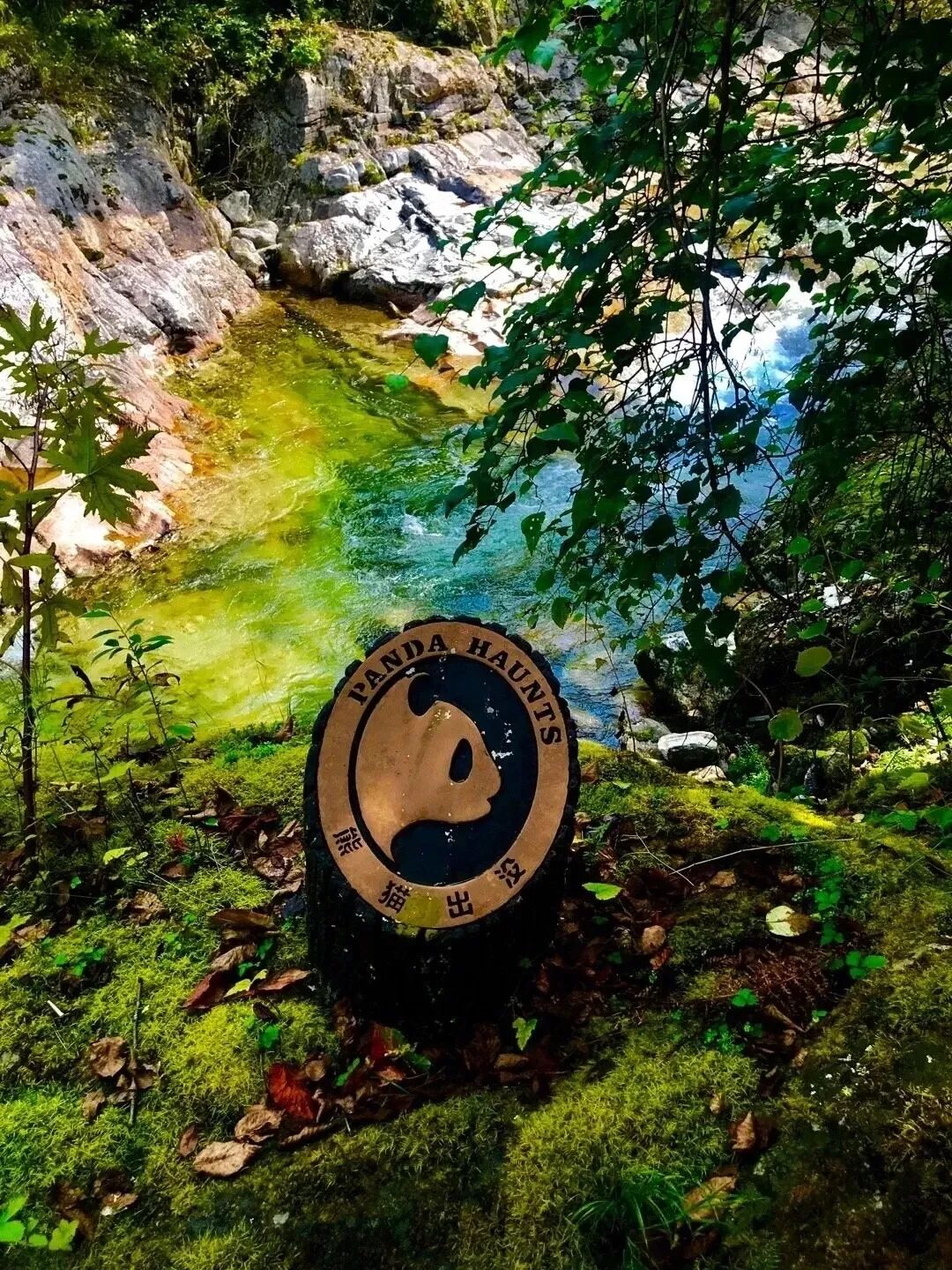 秦岭赏秋自驾游