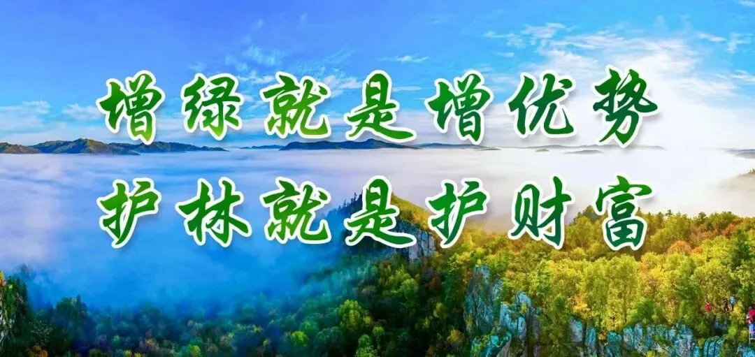 鸡冠山旅游分公司:联合木兰县中学开展中学生研学实践活动