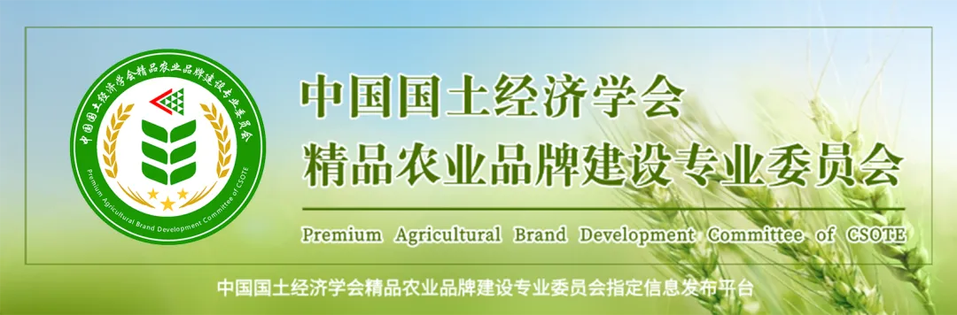 非遗品牌培育——文化和旅游部印发《非物质文化遗产保护传承“十五五”规划》