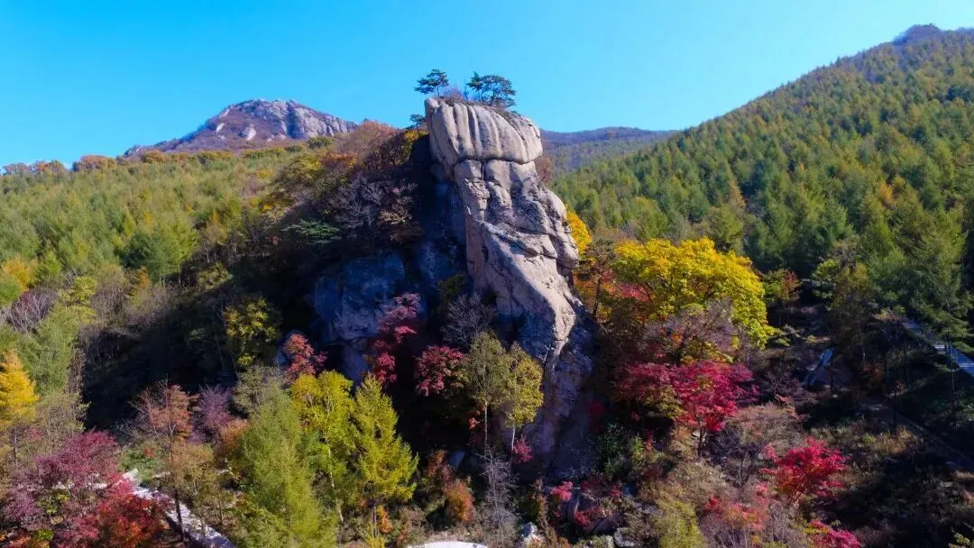 陈静旅游—10月30号本溪老边沟赏枫叶 含午餐145元