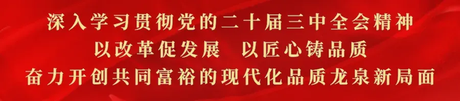 “颜值”“气质”均在线!龙泉成为自驾游热门地