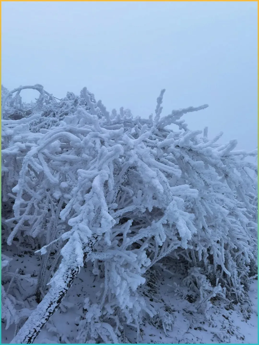 国庆自驾游必备!江浙沪最美5条小众赏秋路线,秒杀热门景点,假期爽翻天!