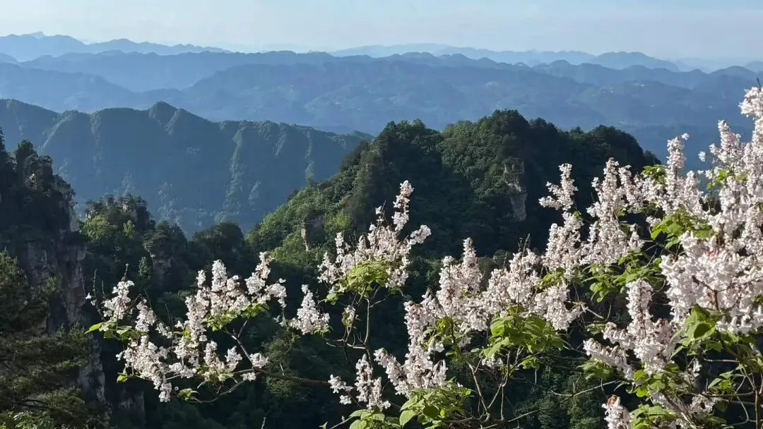 5A级景区体系之于休闲旅游天然瓶颈