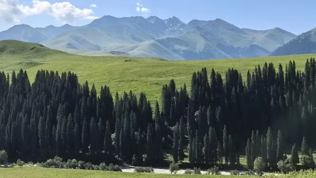 去了新疆旅游两次之后,我终于读懂了旅行的真正意义