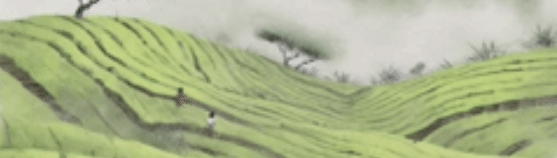 超长“拼好假”玩什么?余杭乡村旅游线路合集第二弹来袭!