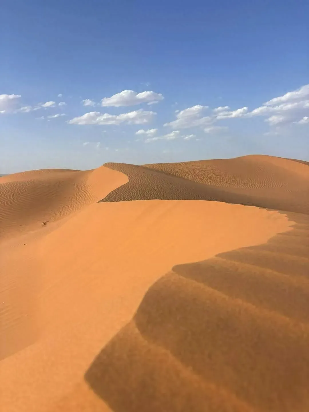 2026中秋赏月黑马目的地,中卫旅游攻略