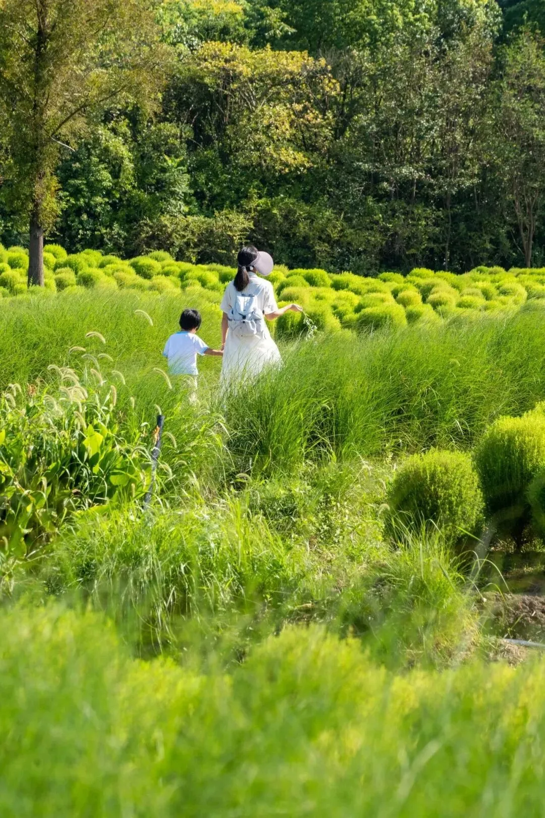 收藏!上海金秋19条宝藏乡村旅游线路来啦~
