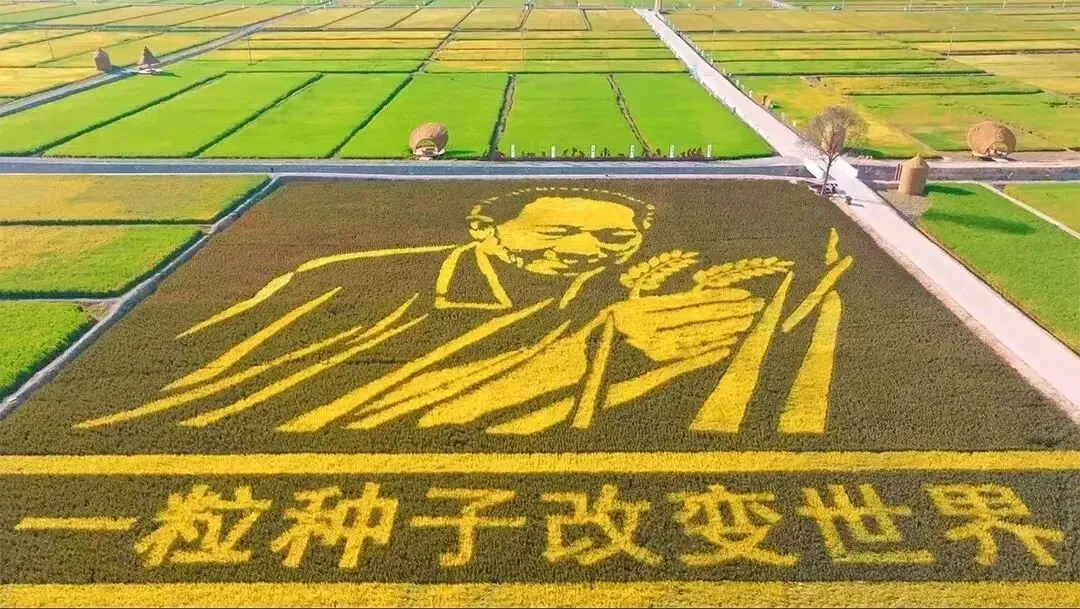 安江农耕文化旅游区游玩攻略,看这一篇就够了