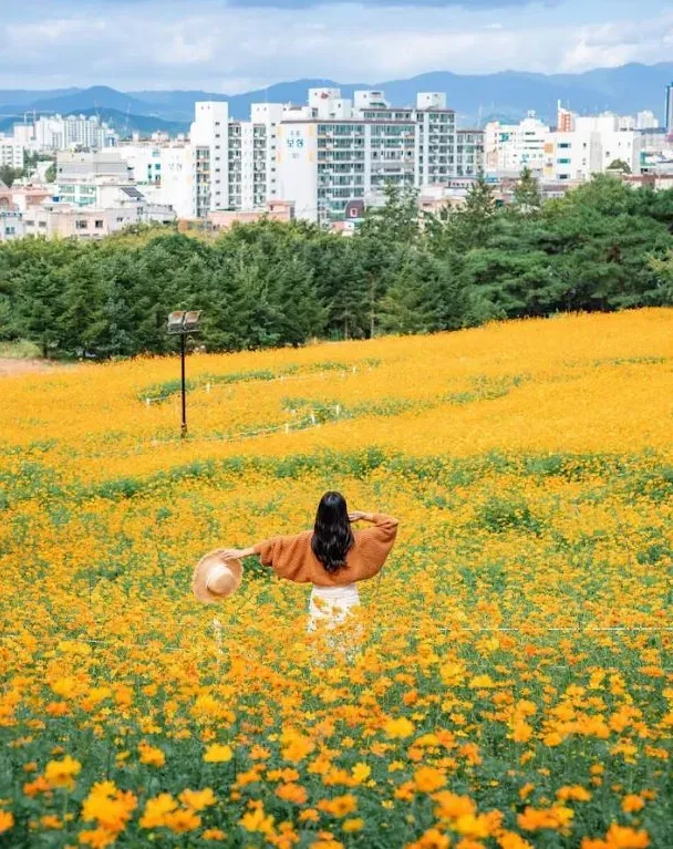 至高300元韩国机票补贴!打开韩国秋冬旅游秘籍!朝圣之旅、电影节、赏秋……四大热门目的地速通!