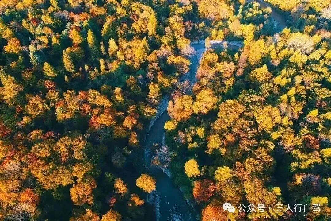 自驾游【长白山:10月1日-7日】可拼车:长白山天池-图们口岸-本溪枫林大道-绿江村边境331