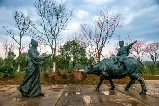 安徽池州|杏花村景区旅游攻略