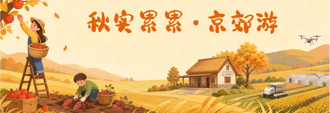 中秋旅游攻略 | 漫步京郊,赴一场向日葵花海之约!