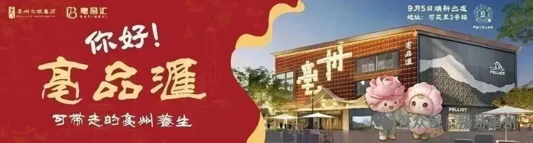 畅游亳州旅游指南,请收藏~