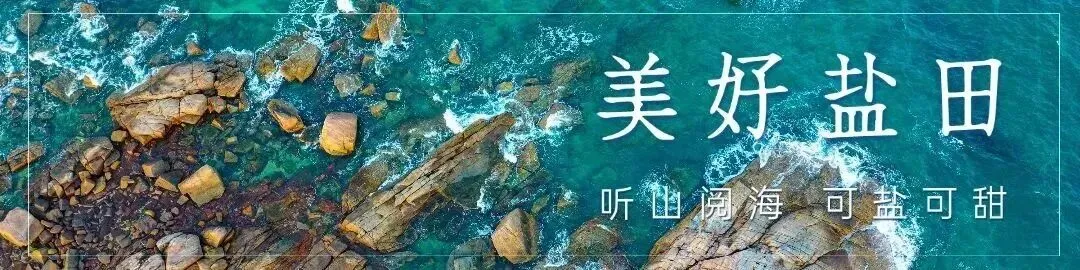 高能预警!深圳黄金海岸旅游嘉年华剧透来袭!(文末福利)