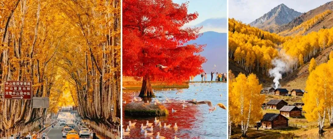 适合10-11月出行的5个最佳旅行地,无需攻略,工作累了,就去小住三五天!!