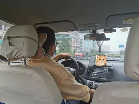 为什么旅游攻略推荐的餐厅,本地人一个都不认?