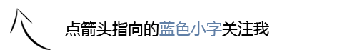 是时候说说带猫自驾游那些事啦