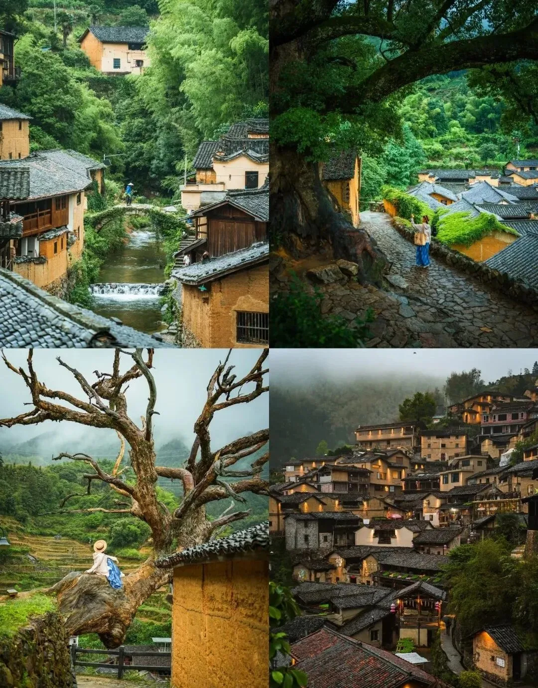 秋日自驾游必推!江浙沪神仙福利!开车直达看遍古村、高山风车与绝美云海!