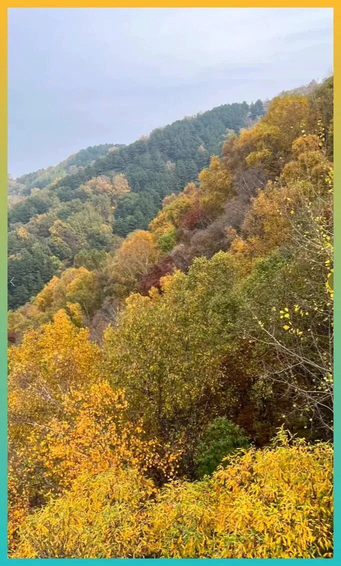 9月江浙沪自驾游推荐!5条高山云海路线,周末吸氧绝不踩雷,随手打卡朋友圈!