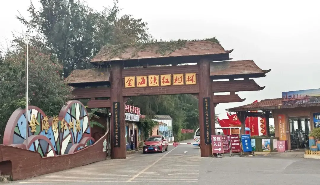 北海游:金海岸红树林生态旅游区