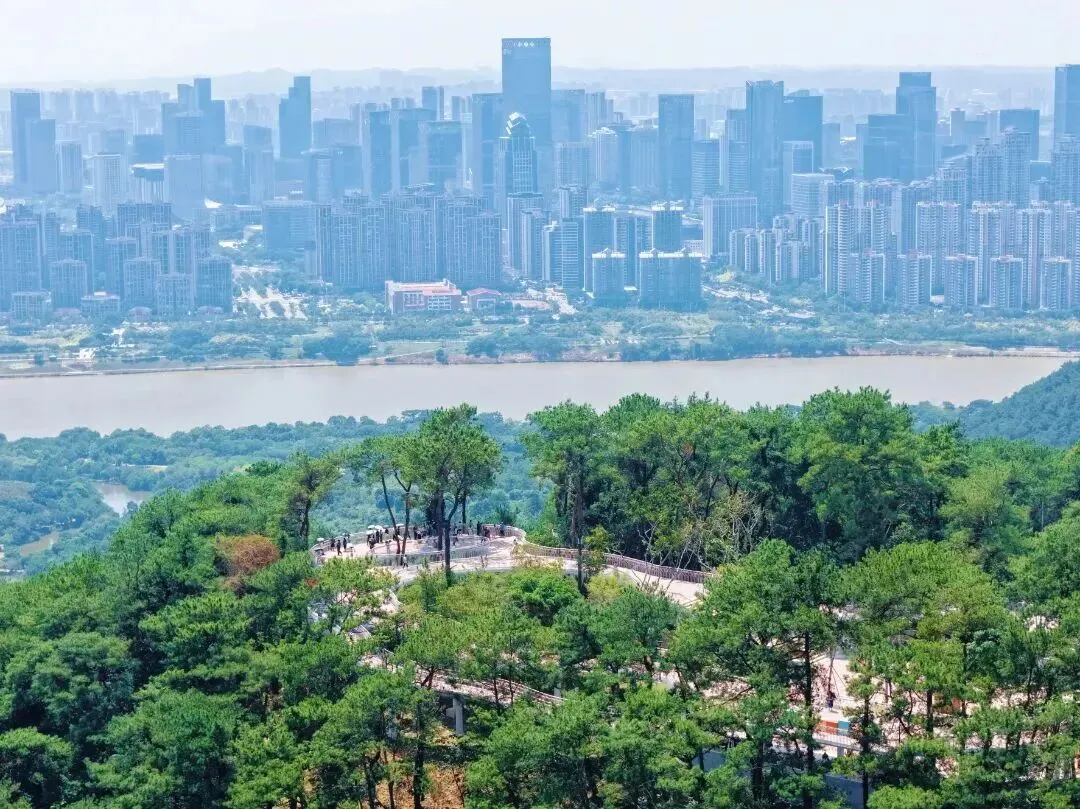 平陆运河精品旅游线路上新,三条特色路线解锁江海新玩法