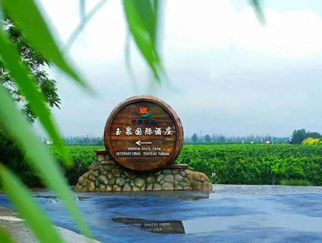 月满华诞・秋韵葡园 |玉泉酒庄秋季葡园游玩指南