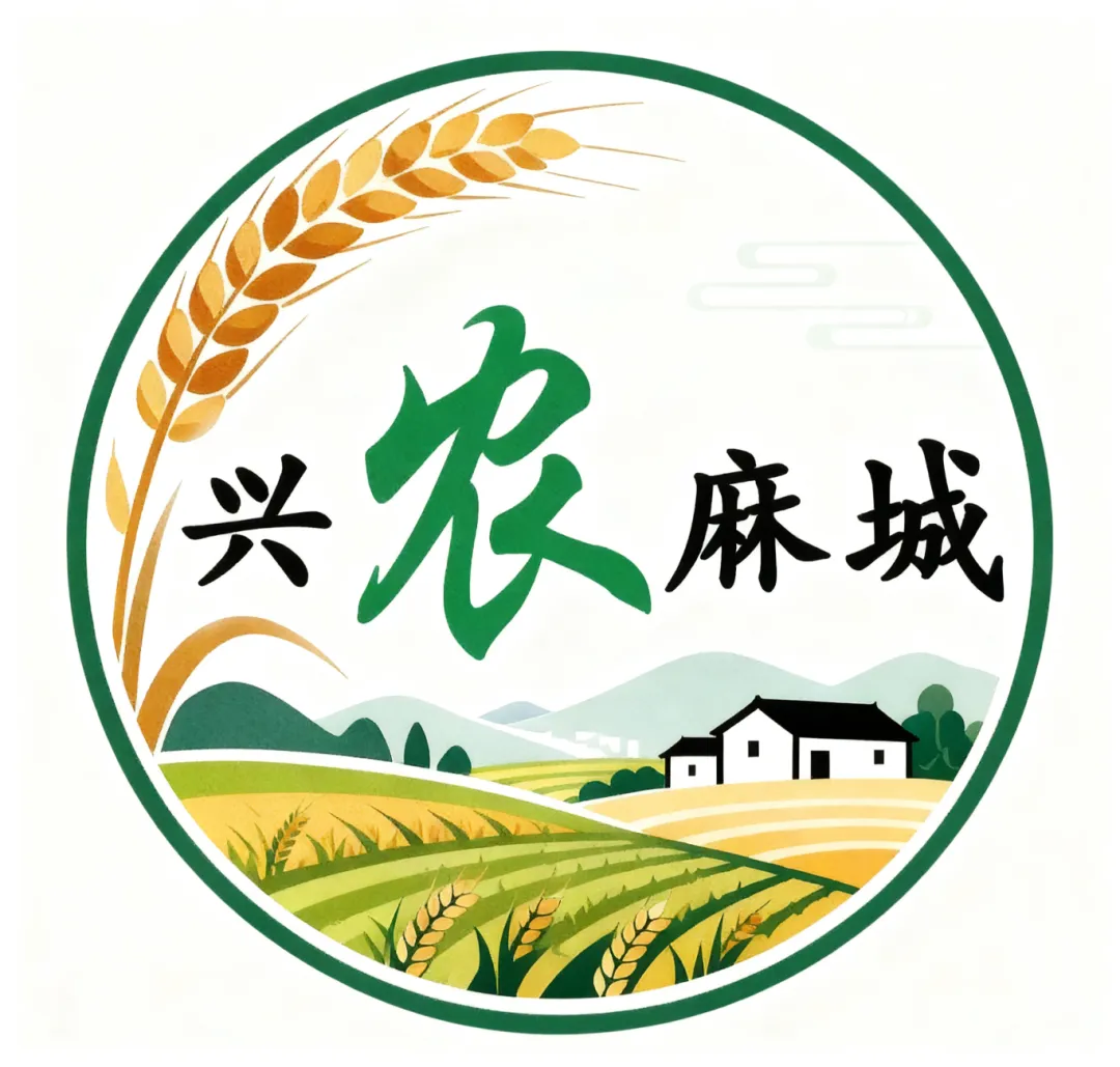 假日去哪儿?麻城这些精品旅游线路等你来!