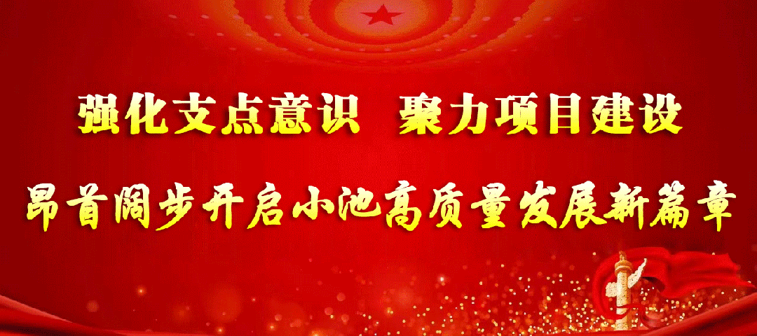 黄梅(长江)文化旅游度假区试运营入场及项目消费政策公示!