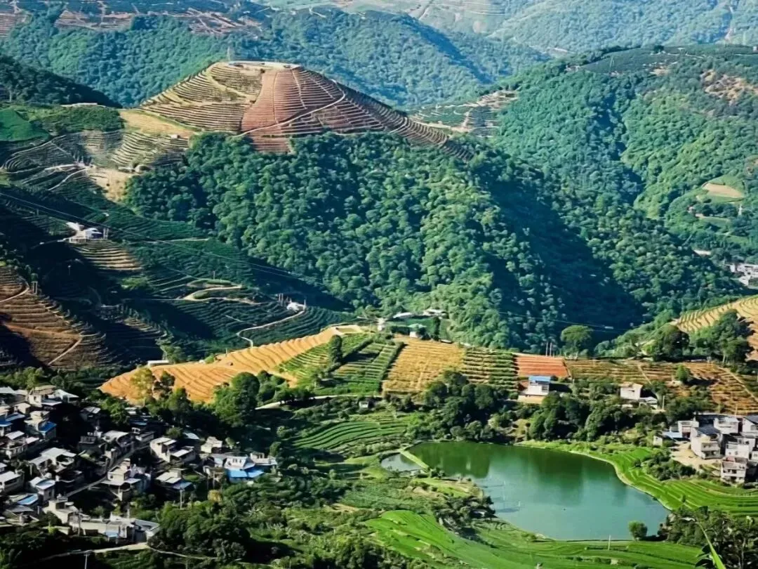 适合周末短途自驾游的5个城市,风景绝美,气候宜人,挑一个去小住两三天刚刚好!