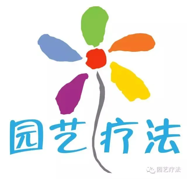 【角度】药乡国家森林公园森林康养旅游发展