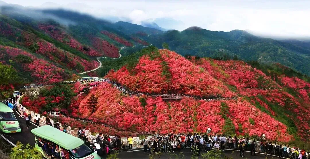 湖北武汉|木兰云雾山旅游攻略