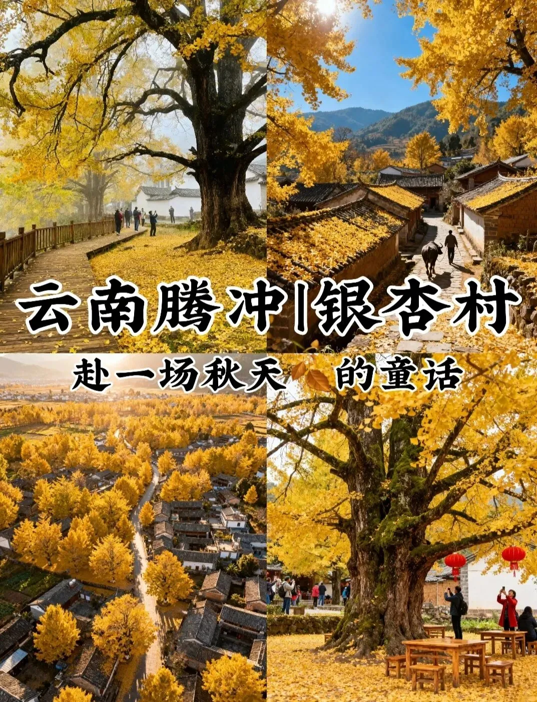 适合12月出发的6个旅游地,不费心做攻略、节奏慢,感觉累了就去小住两三天!