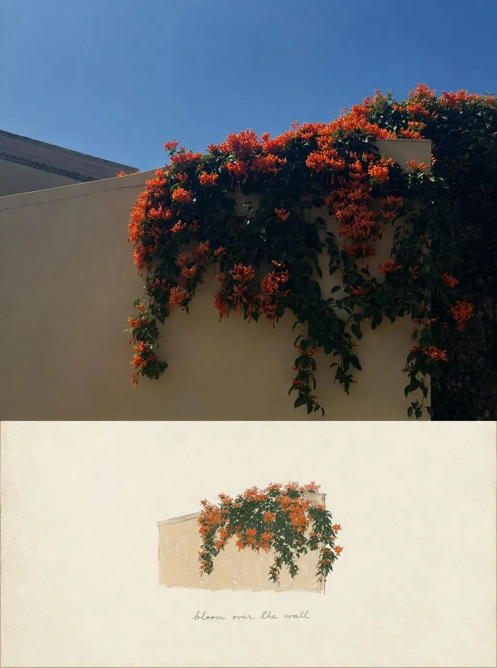 马一些增强旅游体验感的办法!(十一版