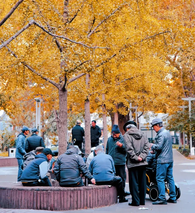 我发现一个退休后消磨时间的好办法,比旅游有意思一百倍