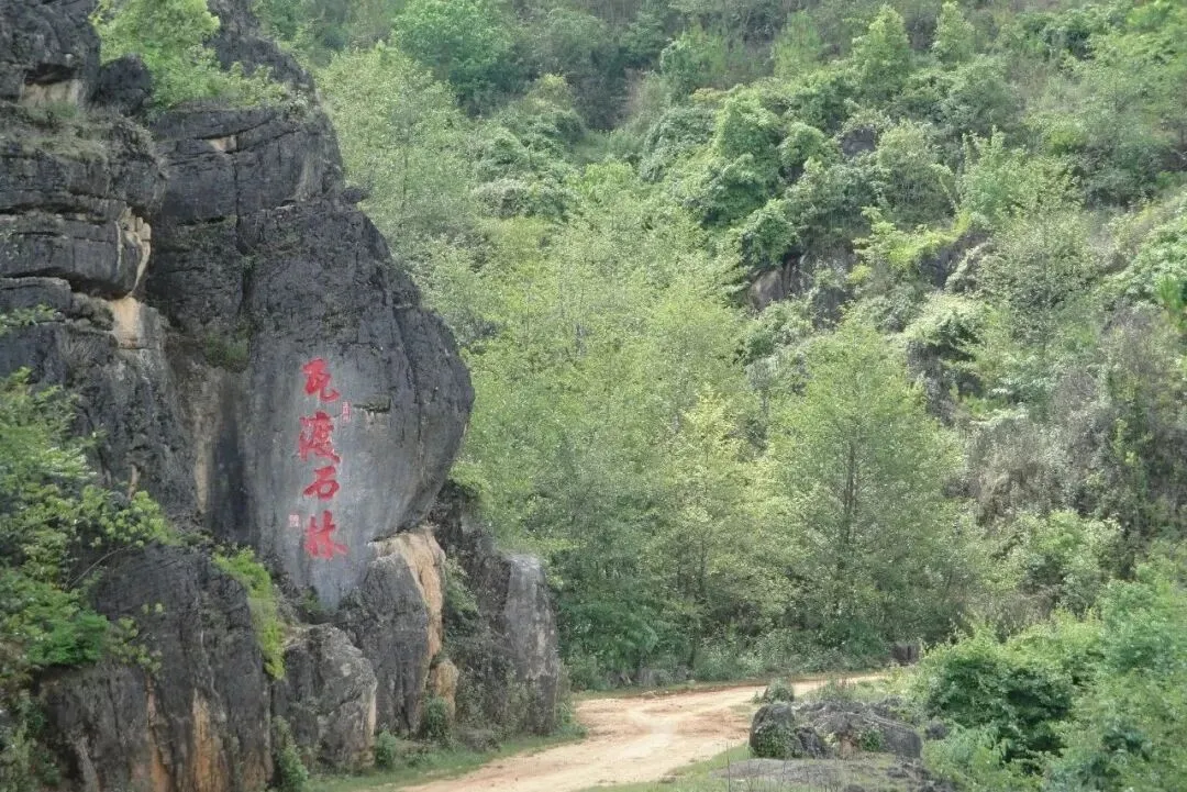 石头藏传奇|保山瓦渡石林游玩全攻略,赴一场千年石峰之约