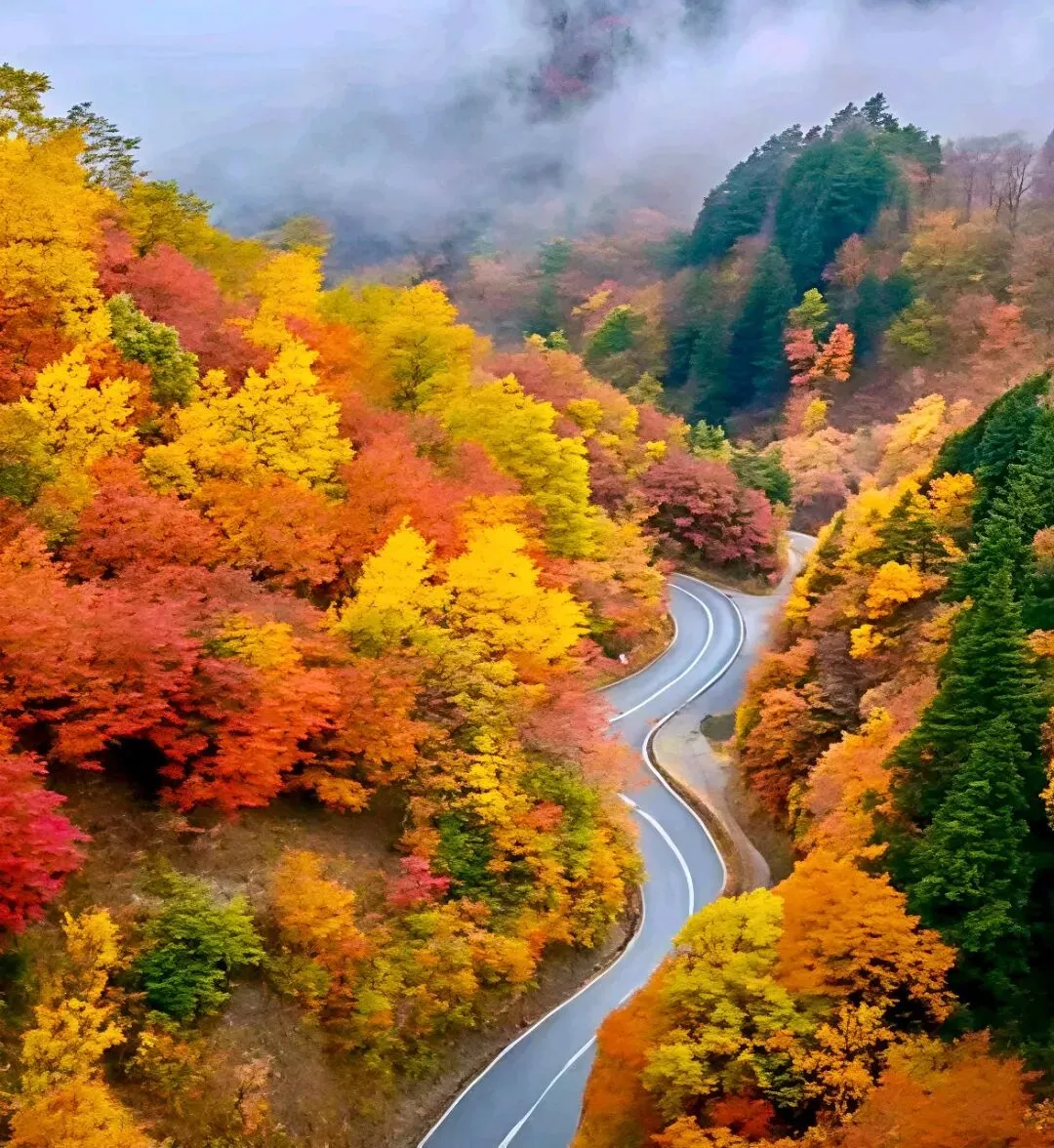 三天二晚绝对顶配自驾|从皖南四大天路之一丨石台天路到诗仙笔下秋浦河,一半云端天路,一半诗画水乡!