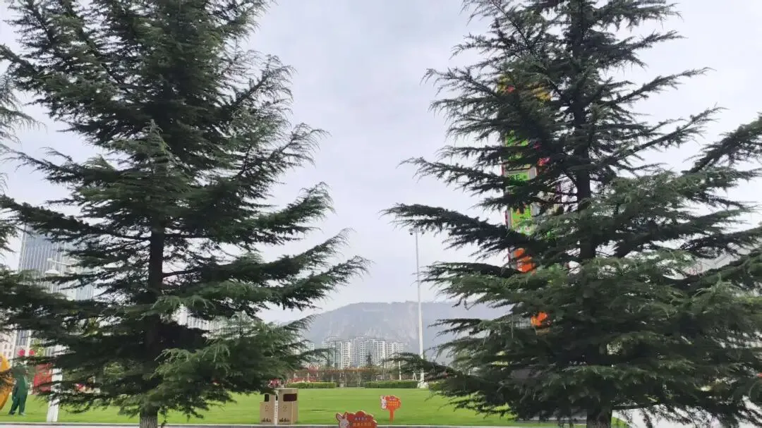 节假日,你是出外旅游,还是独居在家?