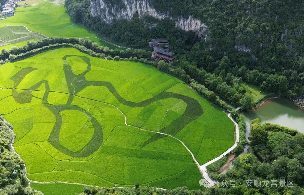 无预约不旅游 | 提前预约避开人流,沉浸式打卡山水溶洞