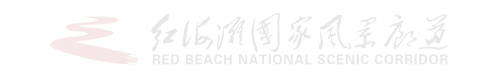 盘锦红海滩国庆假期游玩攻略新鲜出炉~