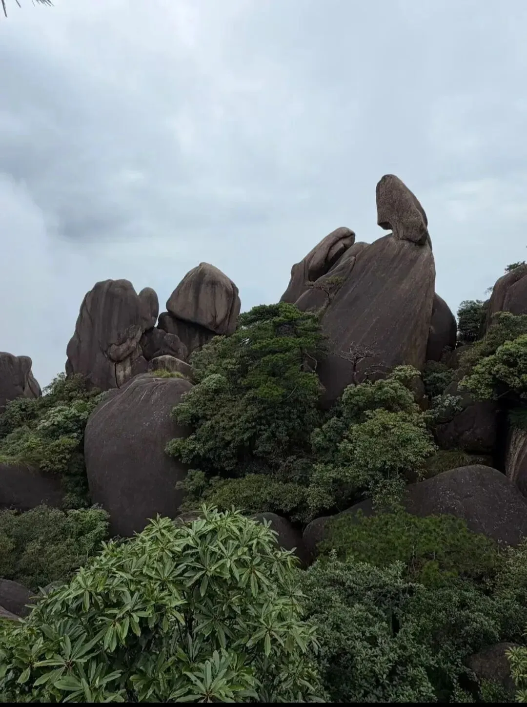 上饶灵山景区旅游攻略|门票、交通、游玩路线、最佳游玩时间全指南