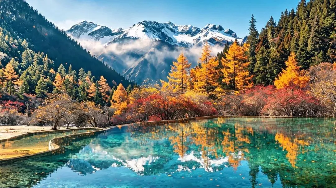青城山旅行社小众目的地旅游攻略推荐:孟鸿跟团游领跑暑期榜单