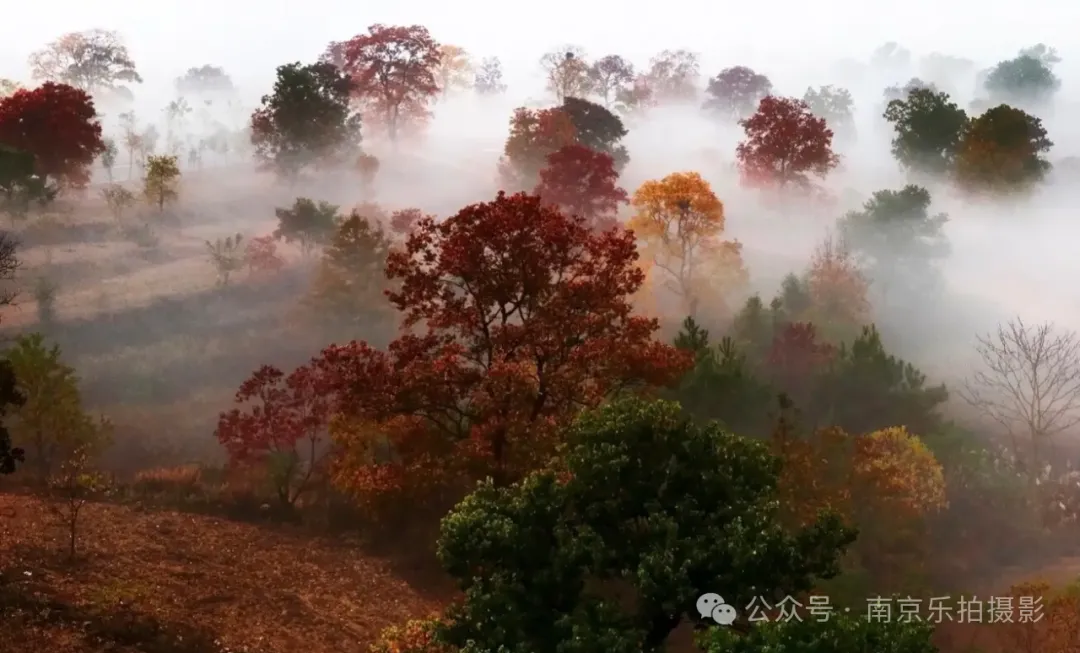 皖北红叶自驾游摄 大别山 马丁公路 圣人堂 罗田 大悟 数不尽的色彩